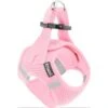 Frisco Small Breed Soft Vest Step In Back Clip Dog Harness -Cat Dog Supply Store 139821 MAIN. AC SS1800 V1699631626