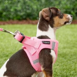 Frisco Small Breed Soft Vest Step In Back Clip Dog Harness -Cat Dog Supply Store 139821 PT5. AC SS1800 V1561573781