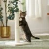 Frisco 21-in Sisal Cat Scratching Post With Toy -Cat Dog Supply Store 140149 MAIN. AC SS1800 V1665765071