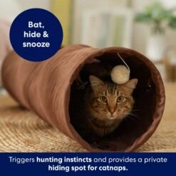 Frisco 35-in Foldable Crinkle Play Tunnel With 1 Window -Cat Dog Supply Store 140166 PT3. AC SS1800 V1695670685