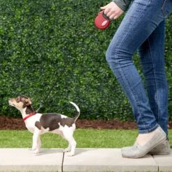 Frisco Nylon Tape Reflective Retractable Dog Leash -Cat Dog Supply Store 140896 PT1. AC SS1800 V1524073683