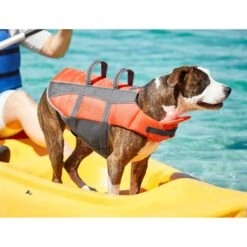 Frisco Ripstop Dog Life Jacket 18 Frisco Ripstop Dog Life Jacket -Cat Dog Supply Store 140919 PT7. AC SS1800 V1631051825
