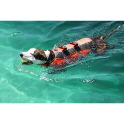 Frisco Ripstop Dog Life Jacket 19 Frisco Ripstop Dog Life Jacket -Cat Dog Supply Store 140919 PT8. AC SS1800 V1540476454