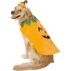 Frisco Pumpkin Dog & Cat Costume -Cat Dog Supply Store 144446 MAIN. AC SS1800 V1540495184