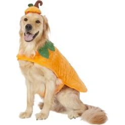 Frisco Pumpkin Dog & Cat Costume -Cat Dog Supply Store 144446 PT2. AC SS1800 V1567174700