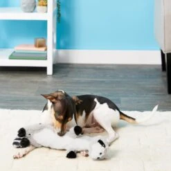 Frisco Raccoon Skinny Plush Squeaky Dog Toy -Cat Dog Supply Store 147045 PT1. AC SS1800 V1539205362