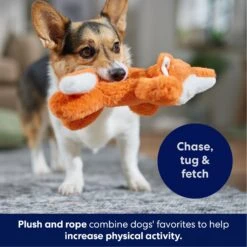 Frisco Fox Plush With Inside Rope Squeaky Dog Toy -Cat Dog Supply Store 147065 PT4. AC SS1800 V1695671059