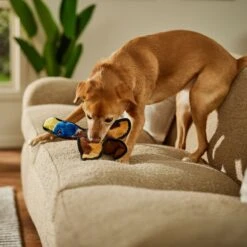 Frisco Duck Flat Plush Squeaky Dog Toy -Cat Dog Supply Store 147069 PT3. AC SS1800 V1674158058