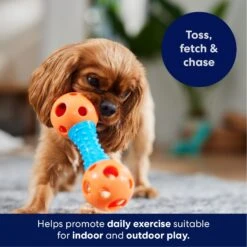 Frisco Dumbbell TPR Fetch Dog Toy 10 Frisco Dumbbell TPR Fetch Dog Toy -Cat Dog Supply Store 147108 PT3. AC SS1800 V1695241969