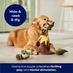Frisco Volcano Hide & Seek Puzzle Plush Squeaky Dog Toy -Cat Dog Supply Store 152810 PT3. AC SS1800 V1686079871