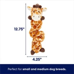 Frisco Giraffe Bungee Plush Squeaky Dog Toy -Cat Dog Supply Store 152822 PT1. AC SS1800 V1686579564