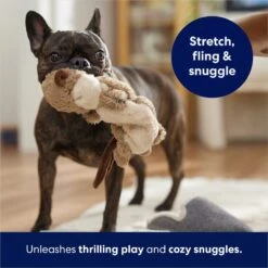 Frisco Beaver Bungee Plush Squeaky Dog Toy -Cat Dog Supply Store 152824 PT5. AC SS1800 V1686580146