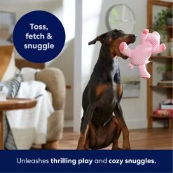 Frisco Corduroy Plush Squeaking Pig Dog Toy -Cat Dog Supply Store 152832 PT4. AC SS1800 V1695671001