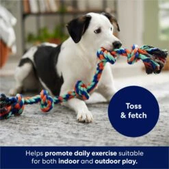 Frisco Rope With 5 Knots Dog Toy -Cat Dog Supply Store 152836 PT2. AC SS1800 V1686579626
