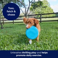 Frisco Fetch Rubber Flyer Dog Toy -Cat Dog Supply Store 152848 PT5. AC SS1800 V1692370079