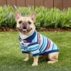 Frisco Striped Dog & Cat Polo Shirt, Red & Blue -Cat Dog Supply Store 153590 MAIN. AC SS1800 V1674158971
