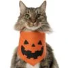 Frisco Jack O' Lantern Pumpkin Dog & Cat Bandana -Cat Dog Supply Store 158934 MAIN. AC SS1800 V1669148132