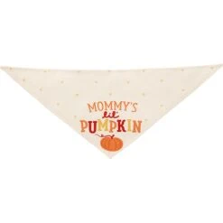 Frisco Mommy's Lil Pumpkin Dog & Cat Bandana -Cat Dog Supply Store 158936 PT3. AC SS1800 V1689628812
