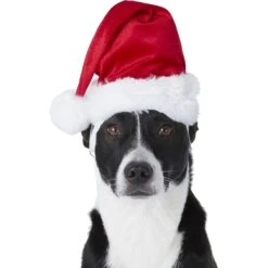 Frisco Holiday Dog & Cat Santa Hat, 1 Count 10 Frisco Holiday Dog & Cat Santa Hat, 1 Count -Cat Dog Supply Store 160054 PT2. AC SS1800 V1669100718