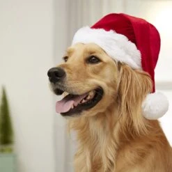 Frisco Holiday Dog & Cat Santa Hat, 1 Count 12 Frisco Holiday Dog & Cat Santa Hat, 1 Count -Cat Dog Supply Store 160054 PT4. AC SS1800 V1637650626
