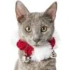 Frisco Jingle Bells Dog & Cat Holiday Collar With Bells, 1 Count 2 Frisco Jingle Bells Dog & Cat Holiday Collar With Bells, 1 Count -Cat Dog Supply Store 160063 MAIN. AC SS1800 V1663948848