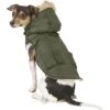 Frisco Mid-Heavyweight Portland Insulated Dog & Cat Parka -Cat Dog Supply Store 160295 MAIN. AC SS1800 V1566999745