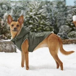 Frisco Mid-Heavyweight Portland Insulated Dog & Cat Parka -Cat Dog Supply Store 160295 PT7. AC SS1800 V1567618265