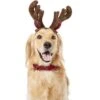 Frisco Holiday Antler Headband & Bell Collar Dog & Cat Costume -Cat Dog Supply Store 160658 Main. AC SS1800 V1568818034