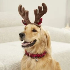 Frisco Holiday Antler Headband & Bell Collar Dog & Cat Costume 10 Frisco Holiday Antler Headband & Bell Collar Dog & Cat Costume -Cat Dog Supply Store 160658 PT4. AC SS1800 V1568818037