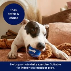 Frisco Chewy Fetch Squeaky Tennis Ball Dog Toy 11 Frisco Chewy Fetch Squeaky Tennis Ball Dog Toy -Cat Dog Supply Store 164314 PT3. AC SS1800 V1691783970