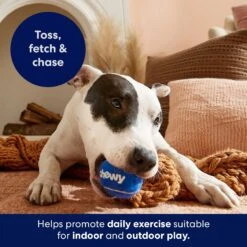 Frisco Chewy Fetch Squeaky Tennis Ball Dog Toy 12 Frisco Chewy Fetch Squeaky Tennis Ball Dog Toy -Cat Dog Supply Store 164314 PT5. AC SS1800 V1691783910