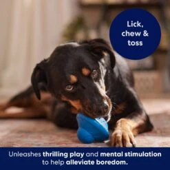 Frisco Flying Saucer Rubber Treat Dispenser Dog Toy 14 Frisco Flying Saucer Rubber Treat Dispenser Dog Toy -Cat Dog Supply Store 164757 PT5. AC SS1800 V1691784247