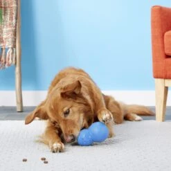 Frisco Snowman Rubber Treat Dispenser Dog Toy -Cat Dog Supply Store 164769 PT4. AC SS1800 V1563808954