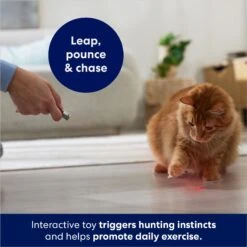 Frisco 2-in-1 Laser & LED Light Laser Cat Toy -Cat Dog Supply Store 166309 PT3. AC SS1800 V1686579688