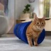 Frisco Foldable Play Tunnel With Mesh Cat Toy -Cat Dog Supply Store 166385 MAIN. AC SS1800 V1686579145