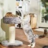 Frisco 24.8-in Heavy Duty Faux Fur Cat Tree 2 Frisco 24.8-in Heavy Duty Faux Fur Cat Tree -Cat Dog Supply Store 169397 MAIN. AC SS1800 V1680808632