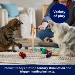 Frisco Plush, Teaser & Ball Variety Pack Cat Toy With Catnip -Cat Dog Supply Store 169686 PT5. AC SS1800 V1691783971