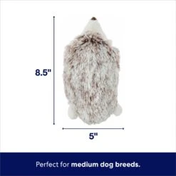 Frisco Hedgehog Plush Squeaky Dog Toy -Cat Dog Supply Store 174678 PT1. AC SS1800 V1695671000