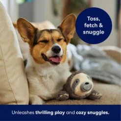Frisco Sloth Plush Squeaky Dog Toy 12 Frisco Sloth Plush Squeaky Dog Toy -Cat Dog Supply Store 174681 PT4. AC SS1800 V1695671029
