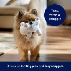 Frisco Lamb Plush Squeaky Dog Toy -Cat Dog Supply Store 174686 PT4. AC SS1800 V1695659156