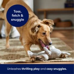 Frisco Bunny Textured Plush Squeaky Dog Toy -Cat Dog Supply Store 174693 PT4. AC SS1800 V1695671088