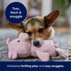 Frisco Pig Textured Plush Squeaky Dog Toy 12 Frisco Pig Textured Plush Squeaky Dog Toy -Cat Dog Supply Store 174695 PT4. AC SS1800 V1695670689