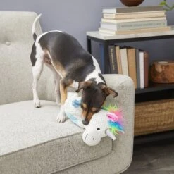 Frisco Unicorn Textured Plush Squeaky Dog Toy -Cat Dog Supply Store 174699 PT2. AC SS1800 V1573492386