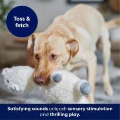 Frisco Llama Bobberz Plush Squeaky Dog Toy -Cat Dog Supply Store 174741 PT4. AC SS1800 V1695671063