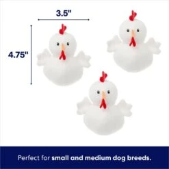 Frisco Chicken Coop Hide & Seek Puzzle Plush Squeaky Dog Toy -Cat Dog Supply Store 174755 PT2. AC SS1800 V1691783968