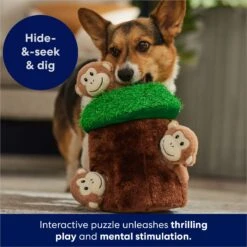 Frisco Monkeys In Tree Hide & Seek Puzzle Plush Squeaky Dog Toy -Cat Dog Supply Store 174759 PT5. AC SS1800 V1702598595