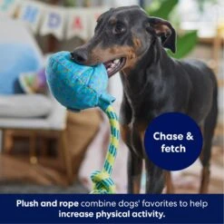 Frisco Birthday Balloon Plush With Rope Squeaky Dog Toy -Cat Dog Supply Store 177807 PT3. AC SS1800 V1695241973