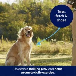 Frisco Ball Launcher & Fetch Squeaky Tennis Ball Dog Toy -Cat Dog Supply Store 178477 PT3. AC SS1800 V1695241970