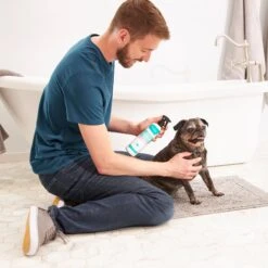 Frisco Aloe Hydrating Dog & Cat Spray, Sweet Nectar Scent -Cat Dog Supply Store 192084 PT3. AC SS1800 V1585321073