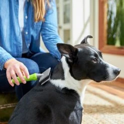 Frisco Soft Slicker Dog Brush, One Size -Cat Dog Supply Store 206869 PT4. AC SS1800 V1680186388